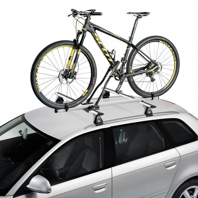 cruz bike carrier