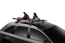 THULE SNOWPACK 732400 (up to 4 pairs of skis or 2 snow boards)