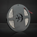 Stedi LED Strip Light 12V Waterproof 5M Roll LEDSTRIP-5M