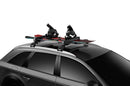 THULE SNOWPACK 732406 (up to 4 pairs of skis or 2 snow boards)