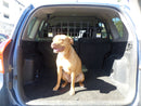 Kaon Light Cargo & Pet Barrier to suit Toyota RAV4 Gen 3 - KS0003