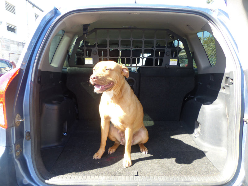 Kaon Light Cargo & Pet Barrier to suit Toyota RAV4 Gen 3 - KS0003