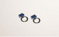 Safeguard Attaching Ring Twin Pack (SARH-100)