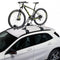 Cruz Race Bike Carrier Silver, Roof Mount, 940-014 - Car Racks