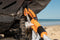 MAXTRAX Core Shackle - MTXCS
